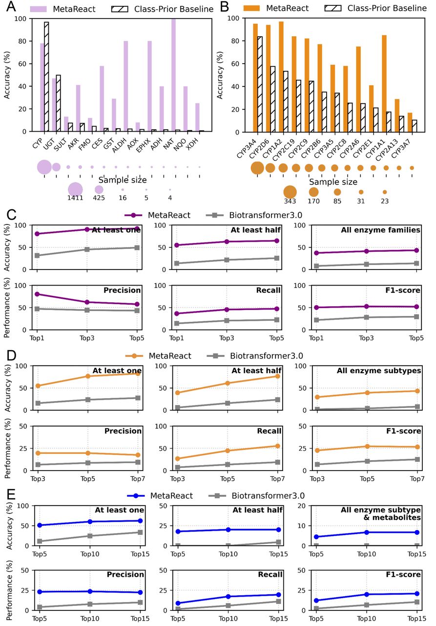 Comparison of prediction performance in the enzyme-completion setting.(A, B) Performance of MetaReact vs. random guessing on the internal test set, for (A) enzyme families and (B) CYP subtypes. Dot size reflects the sample size (number of reactions) for each enzyme family or subtype. (C-E) Comparison of MetaReact and BioTransformer3.0 on the external D-data benchmark. Panels show prediction performance at the (C) enzyme family, (D) enzyme subtype, (E) and enzyme subtype-metabolite pair levels, with precision, recall, and F1-score reported across Top-k thresholds. Accuracy is also evaluated under three coverage criteria: at least one, at least half, and all matched.