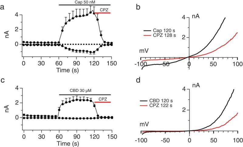 Sensitivity of Capsaicin- and Cannabinoid-induced conductances to Capsazepine. A, B.Current development graph (A) and extracted current/voltage relationship (B) in HEK-TRPV1 stimulated with 50 nM Capsaicin and then application of 10 µM Capsazepine (CPZ). C, D. Protocol as in (A), but with stimulus of 30 μM Cannabidiol (CBD). The recording solutions were Ca 0 internally and externally and the n determinations were from 5 to 6 patches. The current development graphs (A and C) were generated by extracting currents at the voltages of −80 mV and +80 mV.