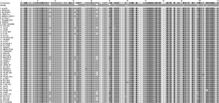 Amino acid sequence alignment comparison of Phytophthora infestans isolates and Phytophthora mirabilis implemented in ClustalO 1.2.2 using default parameters. Output image generated using Geneious 8.1.7. The mature protein is represented, with the signal peptide removed (Color figure online)