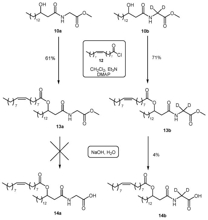 Attempted sequence for the synthesis of N-(3-acyloxyacyl)glycines 14, starting from the intermediates 10.