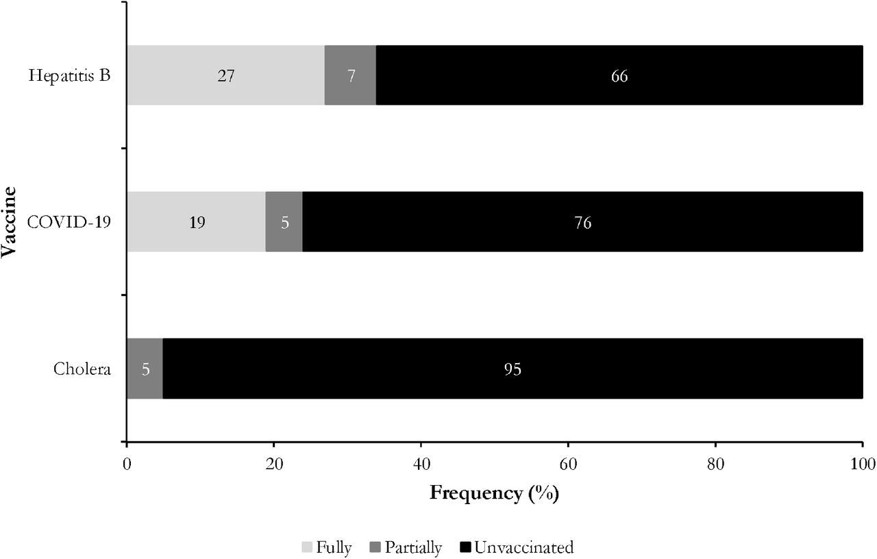Vaccination coverage against viral hepatitis B, COVID-19 and cholera among health workers in the gynecology-obstetrics department, May 2024 (n=41)