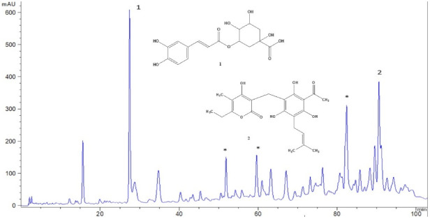HPLC chromatogram of the immortelle SCO2 extract used in the experiment, recorded at 280 nm: chlorogenic acid (1) and arzanol (2). *—phloroglucinol derivatives (gamma-pyrone derivatives).