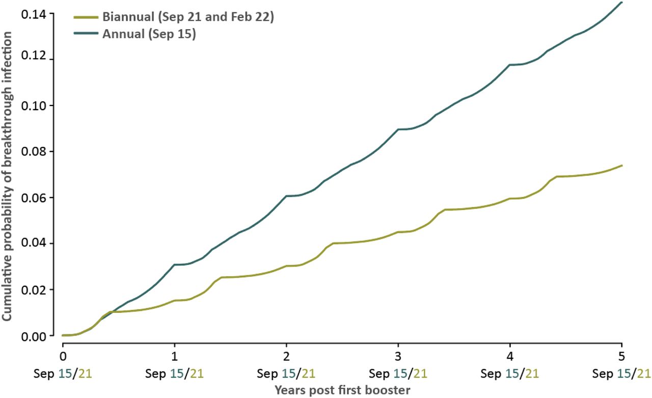 Cumulative probabilities of infection in New York over five years, with optimal annual boosting (dark teal) and with optimal biannual boosting (green).ALT TEXT: Plot of the cumulative probabilities of breakthrough infection over five years based on optimal annual and biannual boosting, providing evidence of substantially lower probabilities for optimal biannual boosting.