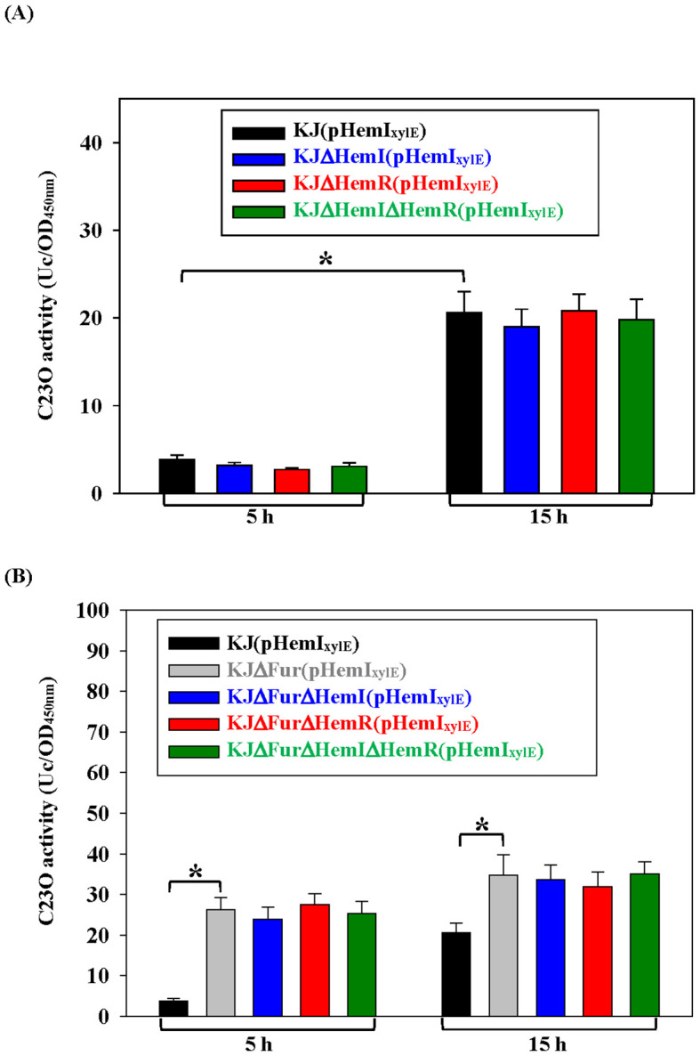 Two bar graphs display C23O activity at 5 and 15 hours. Graph A compares four groups: black, blue, red, and green bars with activity around 20 units at 15 hours and near zero at 5 hours. Graph B compares five groups, including a gray bar, showing activity around 30 units at 5 hours and up to 90 units at 15 hours. Statistical significance is marked with an asterisk.