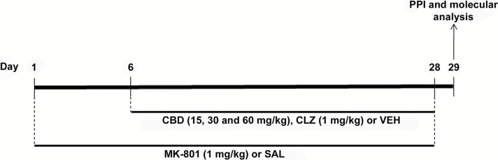 Experimental design. The animals received daily i.p. injections of saline (SAL) or MK-801 (1mg/kg) for 28 days. CBD (15, 30, and 60mg/kg) or vehicle (VEH) treatment began on the 6th day after the start of MK-801 administration and continued until the end of the treatment. One day later, animals were submitted to the prepulse inhibition (PPI) test. Immediately after the PPI, their brains were removed and processed to assess immunohistochemical changes in FosB/ΔFosB and parvalbumin (PV) expression and changes in mRNA expression of the NMDAR GluN1 subunit gene by RT-PCR. CBD effects were compared to those induced by the atypical antipsychotic clozapine (CLZ; 1mg/kg).