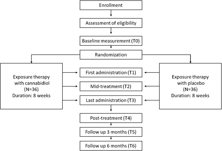 Flowchart of the study design. Data is collected both during T0-T6 measurements and therapy sessions, see Table 1 for a complete overview