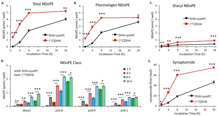Time-dependent production of N-docosahexaenoylphosphatidylethanolamine (NDoPE) and synaptamide from docosahexaenoic acid (DHA) and DHA-lysophosphatidylcholine (DHA-lysoPC) in Neuro2A cells. The cells were incubated with a mixture containing 2 μM each of DHA-lysoPC and [13C]DHA, and 2 μM URB597 at 37 °C, and the production of NDoPE (A–D) and synaptamide (E) from these substrates was comparatively evaluated using LC–MS/MS. The production of total NDoPE (A), plasmalogen NDoPE (B), and diacyl NDoPE (C) from DHA and DHA-lysoPC was determined from cell extract in the presence of diacyl or plasmalogen N-17:1-phosphatidylethanolamine (PE) internal standards after methylamine-mediated deacylation. The main plasmalogen NDoPE species (p16:0-, p18:0-, and p18:1-NDoPE) are shown along with diacyl NDoPE (D). Synaptamide production from DHA and DHA-lysoPC was determined from the culture medium using d4-synaptamide as an internal standard (E). Production of unlabeled synaptamide from DHA-lysoPC was adjusted by background subtraction on the basis of the basal values obtained from the untreated control cultures. The significance of the differential production of these metabolites from DHA and DHA-lysoPC was evaluated by t-test. The values are the mean ± SD of three separate cultures. * p < 0.05; ** p < 0.01; *** p < 0.001.