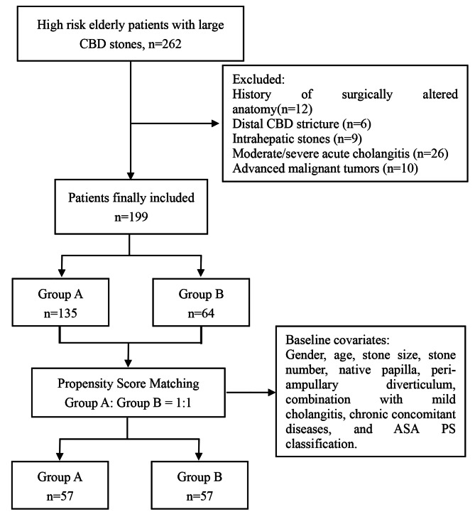 Flowchart of enrolled patients
