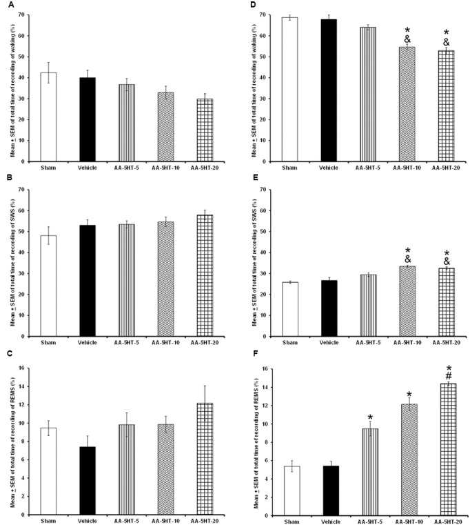 Effects on total time (4 h of sleep recordings) of wakefulness (W), slow wave sleep (SWS), and rapid eye movement sleep (REMS) after experimental trials: Sham, vehicle or AA-5-HT (5, 10, or 20 mg/Kg; i.p.). No effects were observed in W, SWS, or REMS when AA-5-HT was injected during the lights-on period (A–C, respectively). However, when administered at the beginning of the lights-off period, AA-5-HT decreased W and increased SWS and REMS (D–F, respectively; Mean ± SEM ∗ vs. Sham/Vehicle, P < 0.05; & vs. AA-5-HT-5, P < 0.05; # vs. AA-5-HT-10, P < 0.05). Abbreviations: wakefulness (W), slow wave sleep (SWS) and rapid eye movement sleep (REMS), AA-5-HT-5 mg/Kg (AA-5-HT-5), AA-5-HT-10 mg/Kg (AA-5-HT-10), AA-5-HT-20 mg/Kg (AA-5-HT-20).