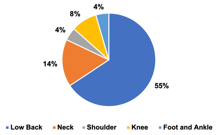 Patients with one orthopedic concernLow back pain = 44, neck pain = 11, shoulder pain = 3, knee pain = 6, foot and ankle pain = 3