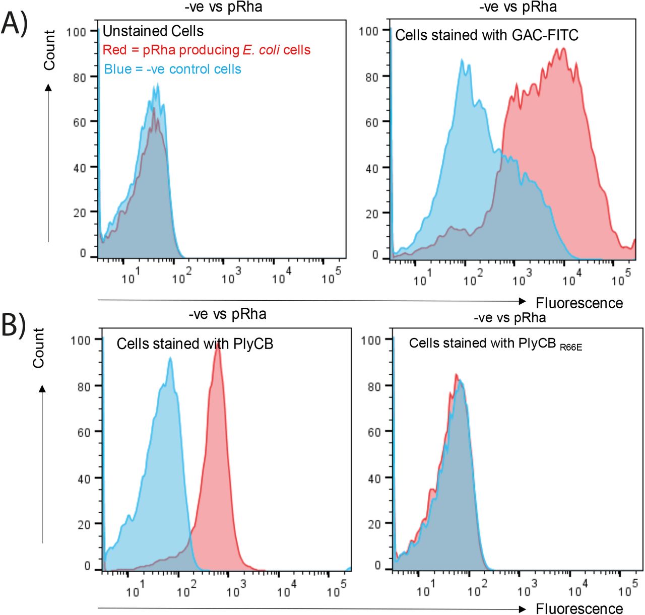 PlyCB binding to E. coli cells were investigated by flow cytometry after labelling with PlyCBWTAF647 and PlyCBR66EAF647 mutant proteins. Blue: −ve control cells without pRha. Red: pRha producing E. coli cells. Representative histograms are shown. A) Left panel: unstained cells. Right panel: The anti-GAC antibodies (GAC-FITC) were used as a positive control to label the E. coli cells producing pRha. The antibodies do not bind to the E. coli cells carrying an empty plasmid (−ve).B) Left panel: PlyCBWTAF647 binds to the E. coli cells producing pRha, but not to the E. coli cells carrying an empty plasmid (−ve). Right panel: PlyCBR66EAF647 does not binds to the E. coli cells producing pRha.