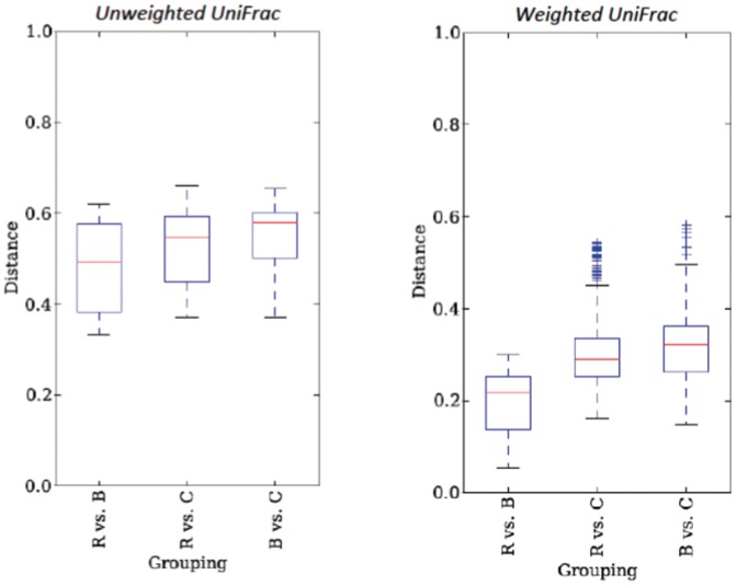 Box plots of beta-diversity distances between communities for both weighted and unweighted analyses.Initials (i.e. B vs. C) stand for comparisons of beta-distances for samples within groups (R = rhizosphere, C = Cannabis endorhiza, B = bulk soil).