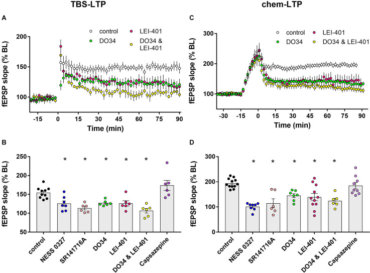 Blocking eCB synthesis impairs LTP expression. (A) Example time courses of TBS-LTP induced by one train of TBS delivered at minute 0 in the presence or absence of eCB synthesis inhibitors. (B) Group data for the magnitude of TBS-LTP at 60 min under various conditions. Ordinary one-way ANOVA, F(8,53) = 14.52, p < 0.0001. *p < 0.05 compared to control by Dunnett’s multiple comparison test. (C) Example time courses of chem-LTP induced by 15 min exposure to the induction cocktail (−15–0 min) in the presence or absence of eCB synthesis inhibitors. (D) Group data for the magnitude of chem-LTP at 60 min under various conditions. Ordinary one-way ANOVA, F(8,62) = 9.1, p < 0.0001. *p < 0.05 compared to control by Dunnett’s multiple comparison test.