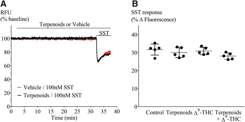SST challenge of AtT20-CB1 cells to investigate heterologous desensitization. (A) Representative traces of cells preincubated with (black) or without (red) terpenoids for 30 min before SST (100 nM) challenge. (B) Comparison of peak hyperpolarization (% fluorescence change) obtained after SST (100 nM) challenge (n=5, one-way ANOVA p>0.05). Drugs were added for the duration of the bar.