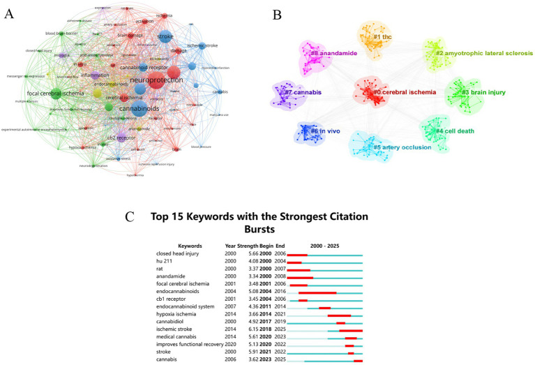 A multipart figure with three sections. Part A shows a network graph of keywords related to cannabinoids and neuroprotection, highlighting terms like "cerebral ischemia" and "cannabinoid receptor". Part B presents a cluster diagram of related terms with "cerebral ischemia" as the central node, connected to keywords like "thc" and "brain injury". Part C is a table listing the top 15 keywords with the strongest citation bursts from 2000 to 2025, including "closed head injury" and "cannabis", along with a graph indicating the citation strength over time.