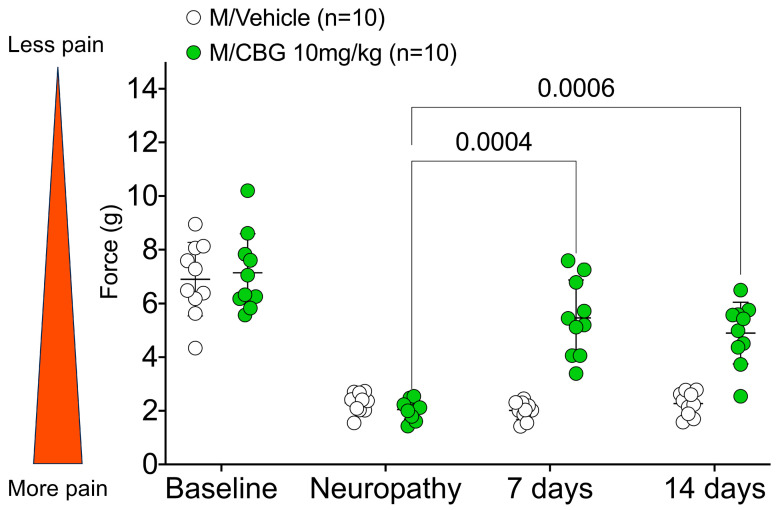 Chronic effects of CBG on neuropathic pain in male mice (n = 10 for vehicle and CBG). Force (g) measured 24 h after the last injection. All statistical analyses were conducted using 2-way ANOVA with Tukey’s multiple comparisons test.