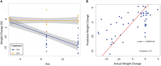 Testing the 3-feature LME model on a second cohort of male mice. (A) Scatter plot and linear regression lines of percent weight change from baseline over time divided by treatment – VEH (n=10) and VEH (n=6). 95% confidence intervals in gray shading. (B) Scatterplot of predicted weight change percentage based on the 3-feature model against actual weight change in the second mouse cohort. Linear regression line is superimposed on the plot with the associated p-value and R2 for the regression.