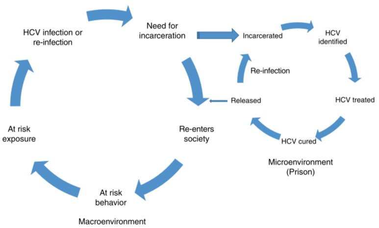 The HCV infection and reinfection “cycle” inside prison (microenvironment) and outside prison (macroenvironment). (From: Redman JS, Sterling RK. Treating HCV in a Captive Audience: Eradication Efforts in the Prison Microenvironment. Am J Gastroenterol 2018 Jul 24. Epub ahead of print)