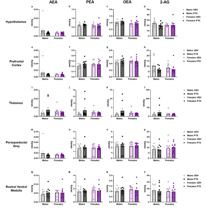Investigation of endocannabinoid ligands and related N-acylethanolamine levels (nmol/g of tissue) in male and female rats following VEH or PTX intraperitoneal injections in the hypothalamus (A–D), prefrontal cortex (E–H), thalamus (I–L), periaqueductal grey (M–P), rostral ventral medulla (Q–T). Data expressed as mean ± S.E.M (n = 10 per group).