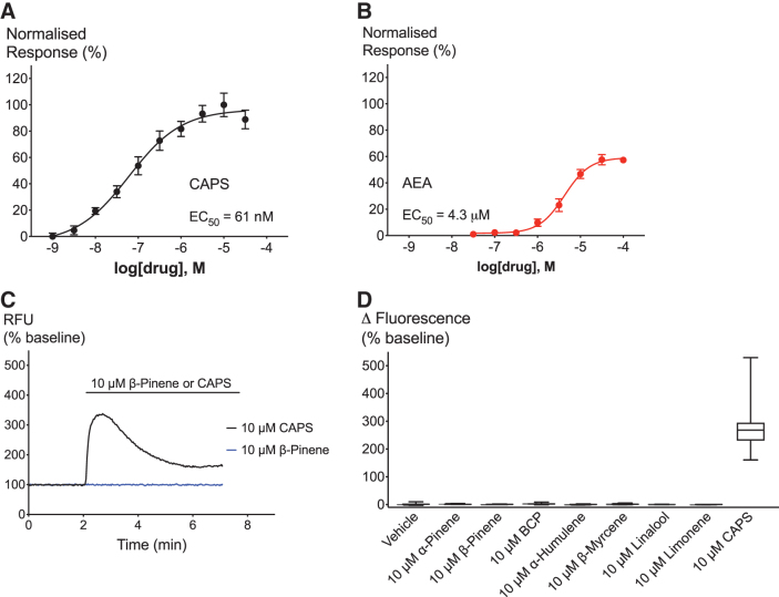 Effects of TRPV1 agonists and terpenoids on hTRPV1 cells. (A, B) Concentration–response curves of hTRPV1 agonists CAPS and AEA. (C) Representative trace showing the application of 10 μM β-pinene (blue) and 10 μM CAPS on hTRPV1 (black). (D) Maximum change in fluorescence upon application of vehicle, 10 μM terpenoid or 10 μM CAPS. N>5, mean±SEM, unpaired t-test. Drugs were added for the duration of the bar. AEA, anandamide; CAPS, capsaicin; hTRPV1, human transient receptor potential vanilloid 1.