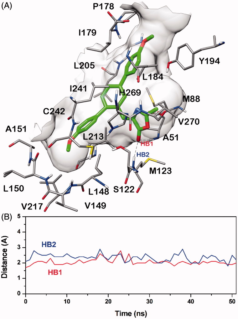 Minimised average structure of compound 20b docked into MAGL receptor (A) and analysis of 20b-MAGL H-bond interactions (B). The plot shows the distance analysis for the two H-bonds (i.e. HB1 and HB2).