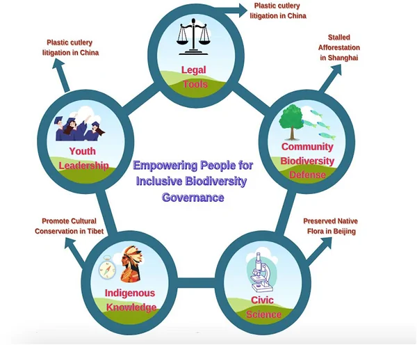 Five strategic pathways for empowering civil society and accelerating implementation of biodiversity goals. Each pathway is illustrated by real‐world applications, demonstrating how legal innovation, community engagement, civic science, Indigenous knowledge integration, and youth leadership can bridge the gap between topdown commitments and grassroots biodiversity action.