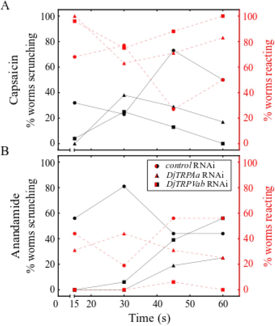 DjTRPAa and DjTRPV mediate scrunching in response to anandamide.(A-B) Behavior of control RNAi, DjTRPAa RNAi, and DjTRPVab RNAi planarians in (A) 165 μM capsaicin (N=11-12) and (B) 125 μM anandamide (N=8-9).