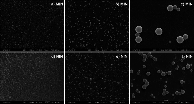 SEM micrographs obtained at different magnifications for a MIN and b NIN
