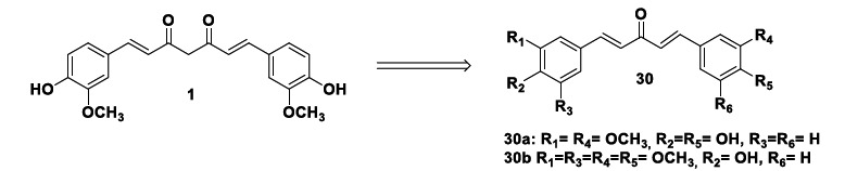 Chemical structures of compounds 30a and 30b, two curcumin analogues with antioxidant properties via activation of the Keap1/Nrf2 pathway.