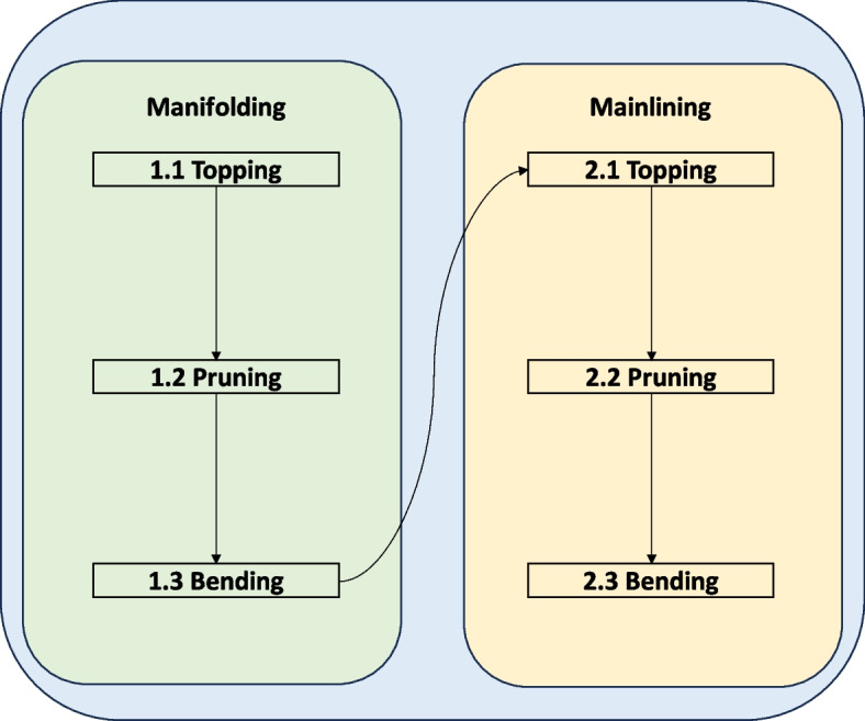 Process flowchart of mainlining technique