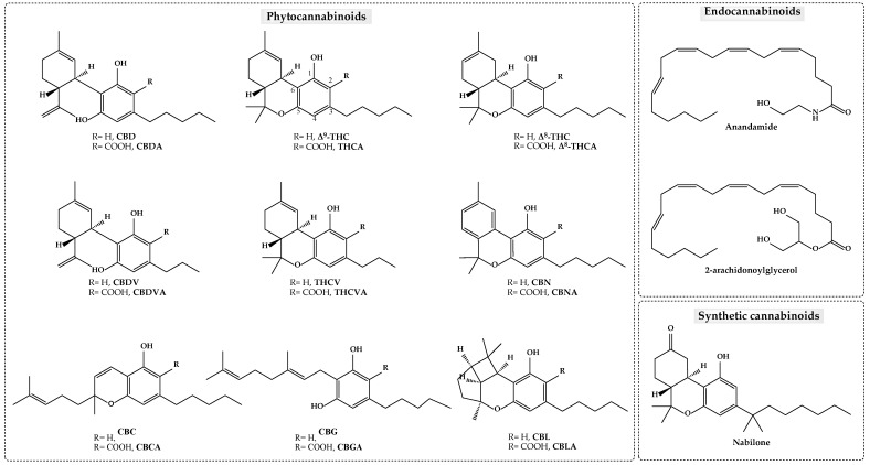 Chemical structures of key cannabinoids.