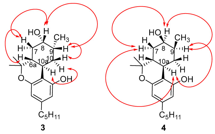 Key correlations of the NOESY spectrum of (8S)OH-(6aR,9R,10aR)-HHC (3) and (8R)OH-(6aR,9S,10aR)-HHC (4).
