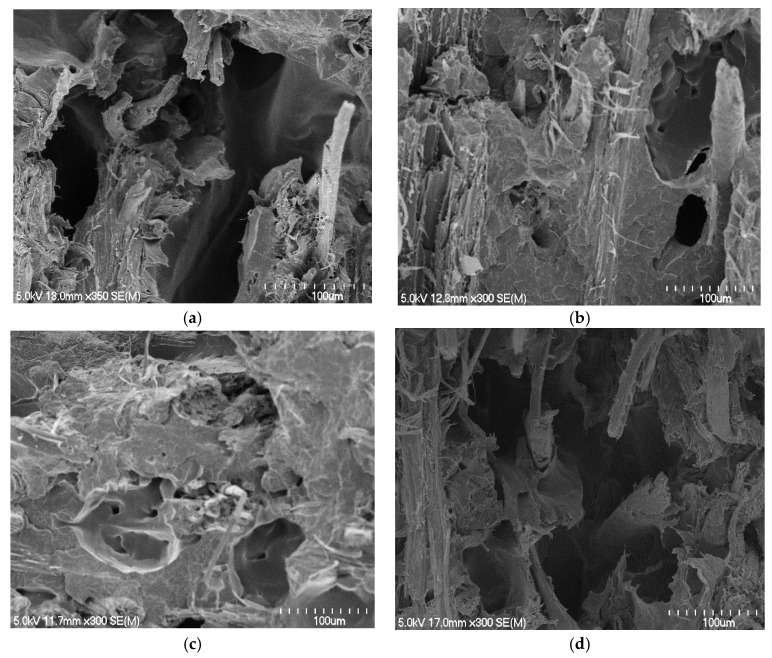 Scanning electron micrographs of tensile fracture surfaces of composites containing fibre content of (a) 45 wt% made with polymer sheets of 0.56 mm, (b–d) 50, 60, and 70 wt% made with polymer sheets of sheet thickness of 0.29 mm, respectively.