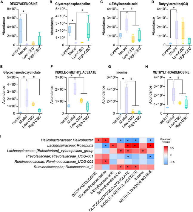 Effects of cannabidiol (CBD) on the changes of the levels of metabolites in rats with Epilepsy. (A-H) Relative abundance of deoxyadenosing, glycerophosphocholine, 4-ethylbenzoic acid, butyrylcarnitine (C4), glycochenodeoxycholate, indole-3-methyl acetate, inosine, and methylthioadenosine. *Indicates a significant difference compared with the control group and #indicates a significant difference compared with the model group, P < 0.05. (I) The relationship between the gut bacteria and the different metabolites. Blue represents negative correlation and red represents positive correlation. The larger the absolute value of R, the stronger the correlation; *indicates significant correlation.