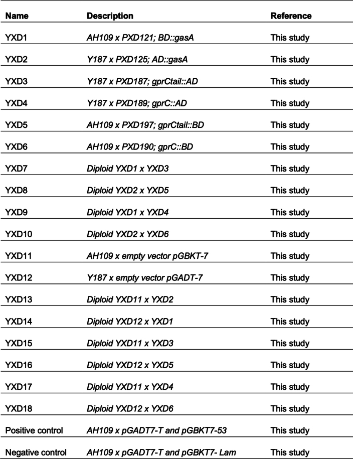 S. cerevisiae strains used in this study