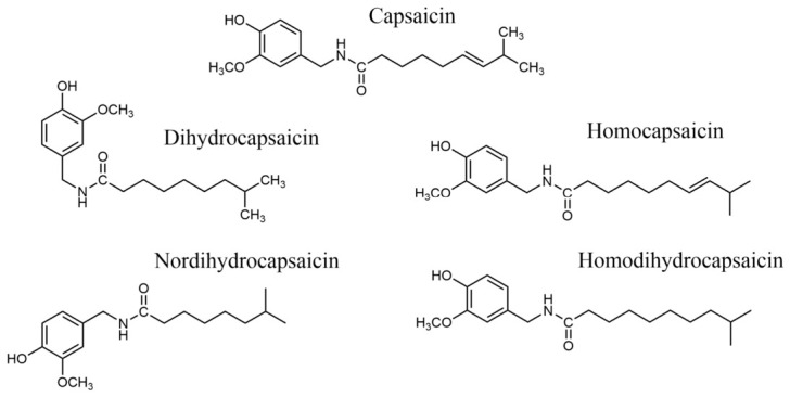 Chemical structures of capsaicinoids.