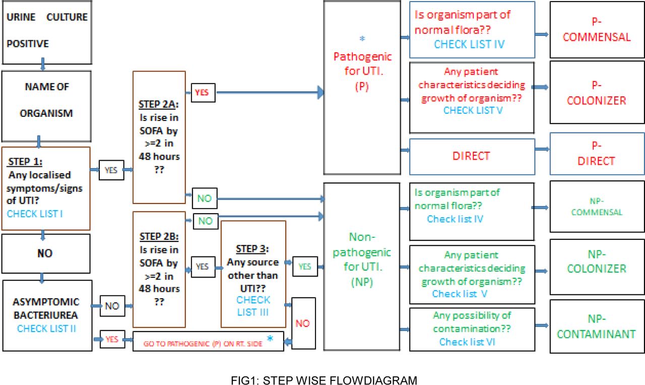 : STEP WISE FLOWDIAGRAM