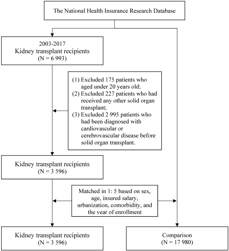 Flowchart of the patient selection process