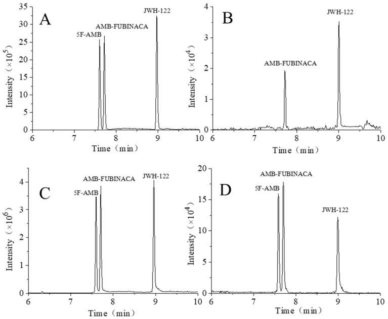 TIC of three synthetic cannabinoids of (A) matrix spike in rat plasma, (B) actual samples in rat plasma, (C) matrix spike in rat urine, and (D) actual samples in rat urine.
