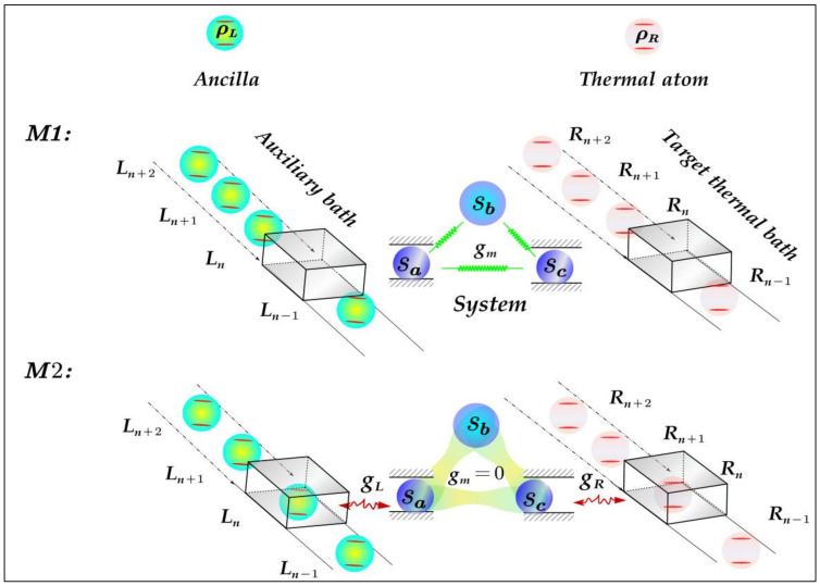 Schematic of heat modulation on the target thermal bath (TTB). The internal interaction of tripartite system (Sa,b,c ) is first implemented in M1 process; then the subsystems Sa and Sc are coupled to the nth ancilla (prepared in ρL) in coherent auxiliary bath (CAB) and the nth thermal atom (prepared in ρR) in TTB, respectively, in M2 process. After that, the two steps of M1 and M2 are implemented repeatedly, and ancilla (thermal atom) in CAB (TTB) interacting with Sa (Sc) are refreshed by the next one in each round. Thus, the steady heat current between the system and TTB, after many rounds, is established.