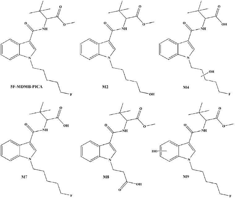 Chemical structures of 5F-MDMB-PICA and its metabolites used for method validation.