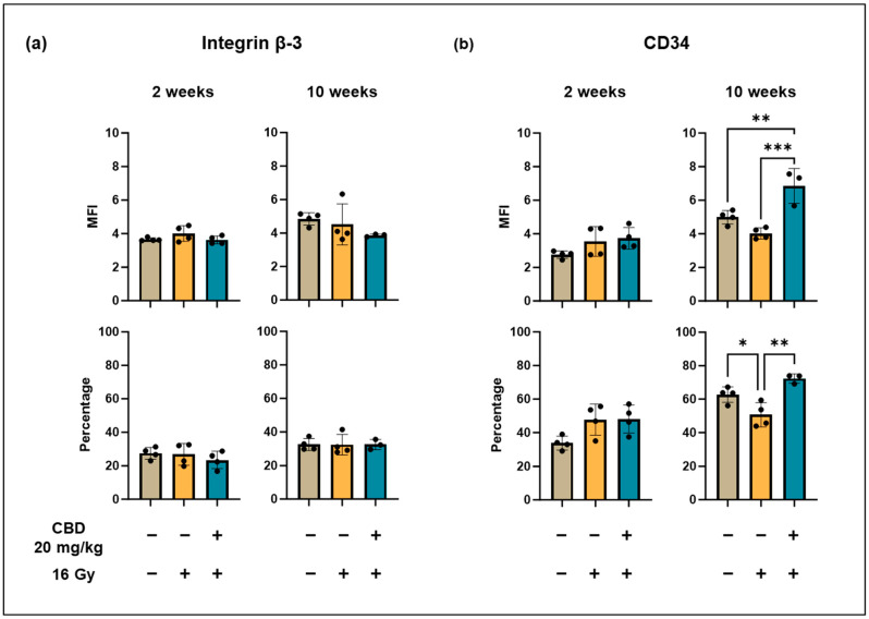 Expression density (mean fluorescence intensity, MFI) and percentage of lung ECs (luECs in vivo) from C57BL/6 mice cells expressing antigens associated with angiogenesis (Integrin β-3) and repair (CD34) mechanisms. Integrin β-3 (a) and CD34 (b) expression on CD31+/CD45− lung ECs (luECs in vivo) isolated from C57BL/6 mice, 2 and 10 weeks after sham irradiation (0 Gy), partial irradiation of the lung (20% of the total lung volume) with 16 Gy, or partial irradiation of the lung after treatment with CBD (i.p. 20 mg/kg body weight per day for 4 weeks, 2 weeks before and 2 weeks after irradiation); data represent mean values ± SD of 3–4 mice (n = 3-4); * p < 0.05, ** p < 0.01 and *** p < 0.001.