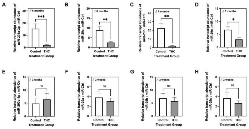 Quantitative RT-PCR analysis of miR-203a-2p and miR-29a/b/c in the livers of male offspring at six months (A–D) and three weeks (E–H) following gestational exposure to Δ9-tetrahydrocannabinol (Δ9-THC). Relative amounts of all miRs were normalized to that of miRNA standard control. Data are expressed as means ± SEM (n = 7–8/group). Groups at each time point were compared using Student’s two-tailed unpaired t-test. * Significant difference (p < 0.05), ** significant difference (p < 0.01), *** significant difference (p < 0.001).
