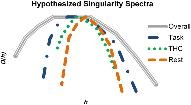 Summary of how multifractal complexity relates to memory processing. Hypothetical singularity spectra were constructed based on the qualitative results of the study. The gray spectrum represents the maximal amount of multifractal complexity possible in a system (i.e., hippocampal spike trains in this example). Active memory processing recruits a large portion of this potential, but additional resources are still available to support more cognitively demanding instances. THC impaired working memory and reduced multifractal complexity. During resting conditions, the singularity spectrum shrinks compared to the task (blue) condition. Multifractality may be highest when embedded information relevant for working memory is being processed. Consequently, resting and pharmacological impairment could reduce multifractal complexity by decreasing the fraction of utilized resources.