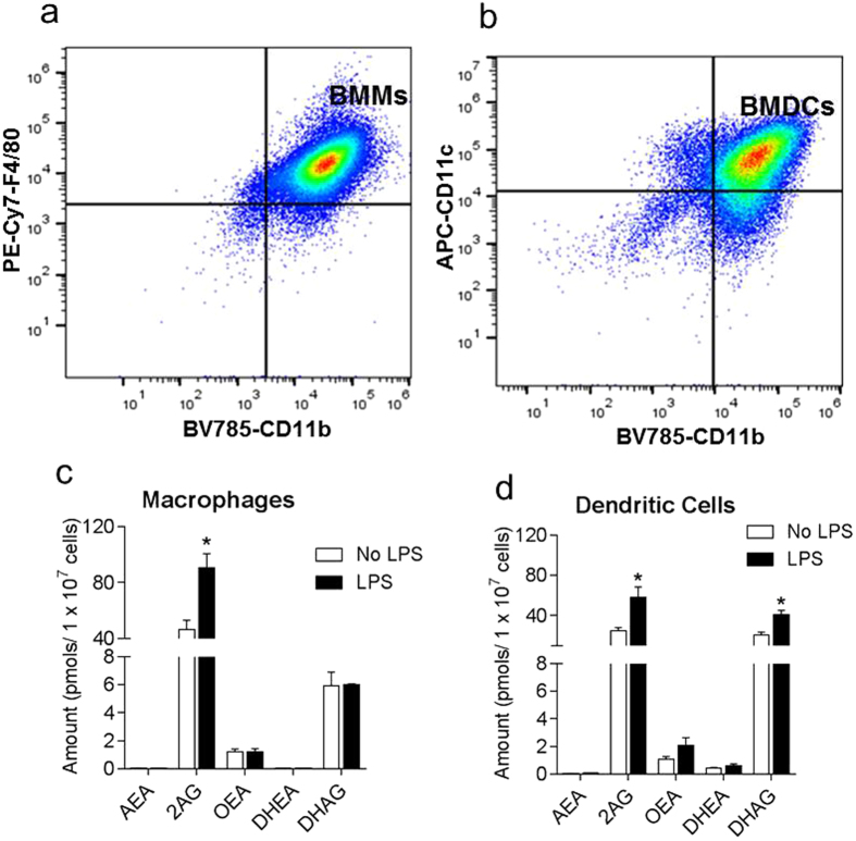 Flow cytometry and lipid analysis of Bone marrow derived macrophages (BMMs) and dendritic cells (BMDCs).(a) Purity of BMMs were analyzed using anti-F4/80-PE-Cy7 and anti-CD11b-BV785 antibodies. Matured and fully differentiated BMMs are double positive for F4/80 and CD11b (top right quadrant). (b) BMDCs were stained with anti-CD11c-APC and anti-CD11b-BV785 antibodies. Matured and fully differentiated BMDCs are double positive for CD11c and CD11b (top right quadrant). (c,d) Lipid analysis of BMMs and BMDCs activated overnight with 0.1 μg/mL LPS. Bar graphs are expressed as mean lipid amount ± SEM (n = 3). Statistical differences were determined by nonparametric Mann-Whitney U test, ∗P < 0.05, compared to No LPS control.