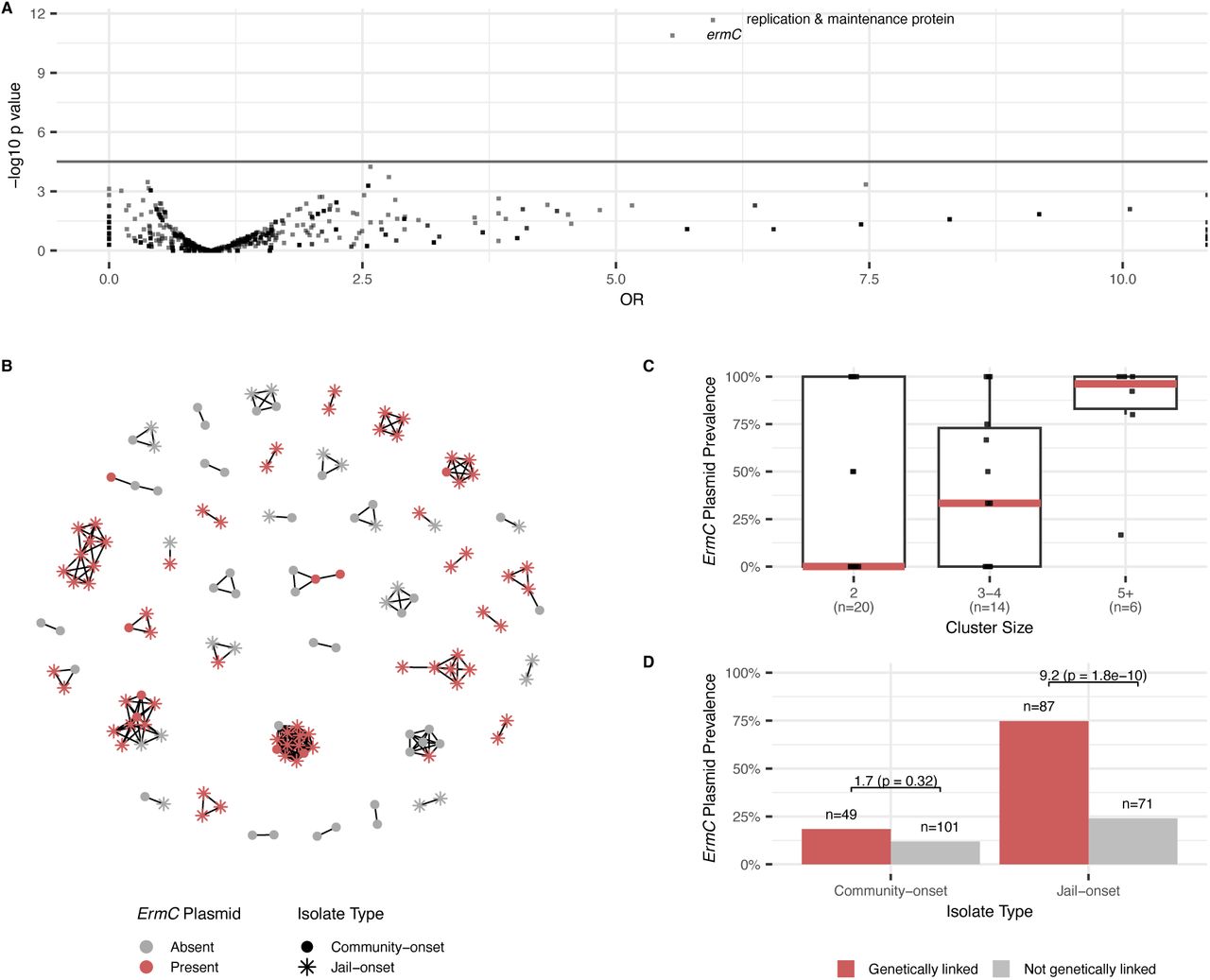 Association between pangenome and transmission in the Cook County Jail from 2015-2018.A) A genome-wide association study was performed to measure the association between accessory gene presence and genetic linkage to another CCJ isolate within 20 SNVs. P-values represent unadjusted p-values from two-sided Fisher’s exact tests. Horizontal line indicates Bonferonni adjusted p-value threshold. B) Network diagram of MRSA transmission clusters. Edges indicate that isolates are related within 20 SNVs. Nodes colored by presence (red) or absence (grey) of the ermC-carrying plasmid in the corresponding isolate. Shape indicates the isolate type, where stars are jail-acquired colonization or infections (MRSA colonization not observed at intake but observed at 30 days within jail or infection after 72 hours of entering jail) and circles are community-acquired colonization or infection (MRSA colonization positive at intake or infection within 72 hours of entering jail). There were 172 unclustered isolates in our analysis. Of these, 29 (16.9%) had the ermC plasmid present, 101 (58.7%) were community-onset cases, and 71 (41.3%) were jail-onset cases. Of the unclustered community-onset cases, 12 (11.9%) carried the ermC plasmid, while 17 (23.9%) of the unclustered jail-onset cases had the ermC plasmid present. C) Larger clusters of MRSA isolates are associated with higher ermC prevalence than small clusters. Boxes represent the interquartile range (IQR) of ermC plasmid prevalence, median ermC plasmid prevalence is represented by red horizontal lines, and whiskers represent the range of ermC plasmid prevalence in each cluster size group (clusters of 2 isolates, 3-4 isolates, or 5 or more isolates) excluding outliers (values more than 1.5 times the IQR from the 25th or 75th percentile for a given group). The number of clusters in each size category are indicated under the x-axis labels. D) Bars represent the proportion of isolates carrying the ermC plasmid in community-onset and jail-onset MRSA colonization and infections by whether the case was genetically linked to another case in the jail (red) or not (grey). The presence of the ermC plasmid is associated with genetic linkage at CCJ, but not statistically significant when considering only surveillance for colonization on entrance to CCJ (first bars). Numbers above bars represent sample sizes, and odds ratios and p-values comparing ermC prevalence by genetic linkage were determined using two-sided Fisher’s exact tests.