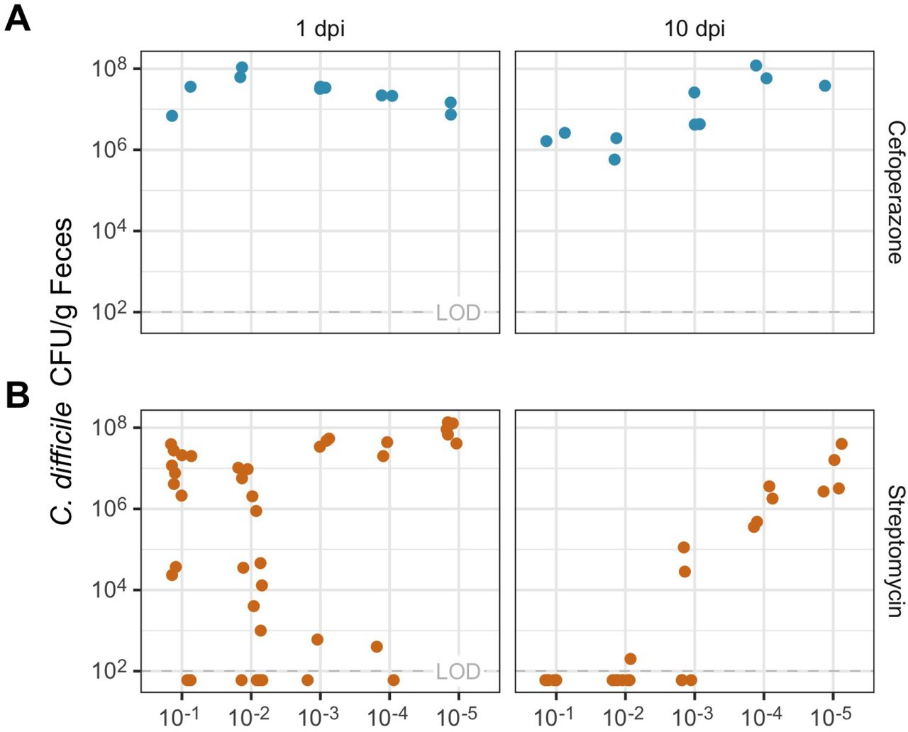 Diluted FCT inhibited C. difficile colonization for mice treated with streptomycin.C. difficile CFU per gram of feces for mice treated with cefoperazone (blue points) or streptomycin (orange points). Mice were orally gavaged with a dilution of FCT (1:10 to 1:105) prior to the C. difficile infection at (A) one day post C. difficile infection (dpi) and (B) 10 dpi. Each point represents an individual mouse. LOD = limit of detection.