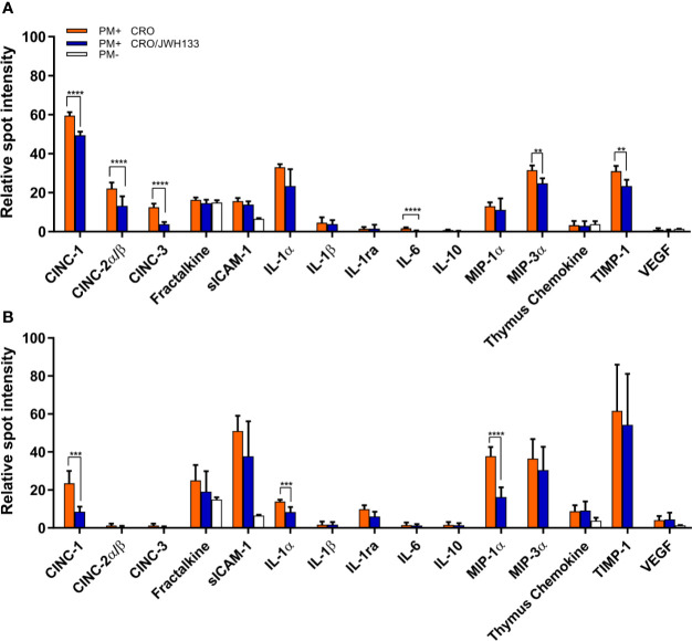 Analysis of inflammatory parameters in the brain parenchyma of infected animals. At 24 hpi (A) and 42 hpi (B), the protein levels of several inflammatory parameters were significantly decreased in infected animals treated with CRO/JWH-13 (blue bars) compared to animals treated with CRO only (orange bars). Only few inflammatory parameters could be detected in uninfected animals (white bars). (PM+ CRO, n = 6; PM+ CRO/JWH133, n = 6; PM-, n = 4; Multiple t test with Holm-Sidak correction; **p < 0.01; ***p < 0.001; ****p < 0.0001).