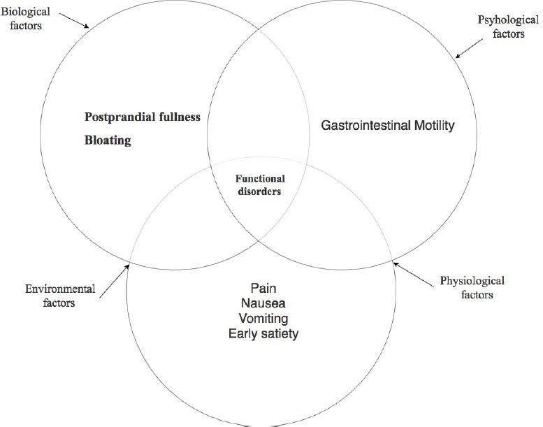 Functional gastrointestinal disorders symptomatology.