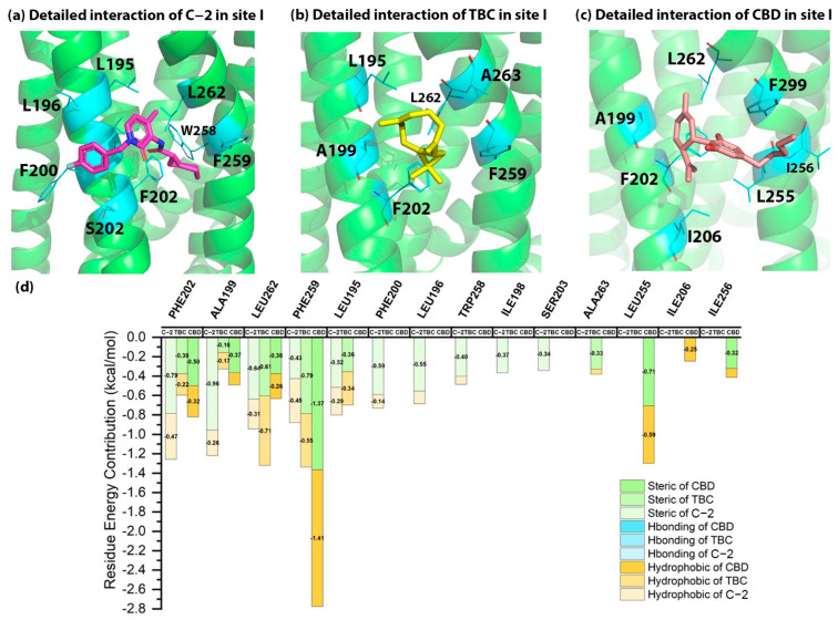 The detailed interactions and residue energy contribution of C-2, TBC and CBD in site I. (a) The detailed binding pose of C-2 in site I. (b) The detailed binding pose of TBC in site I. (c) The detailed binding pose of CBD in site I. (d) The comparisons of residue energy contribution of binding residues for these AMs in site I.